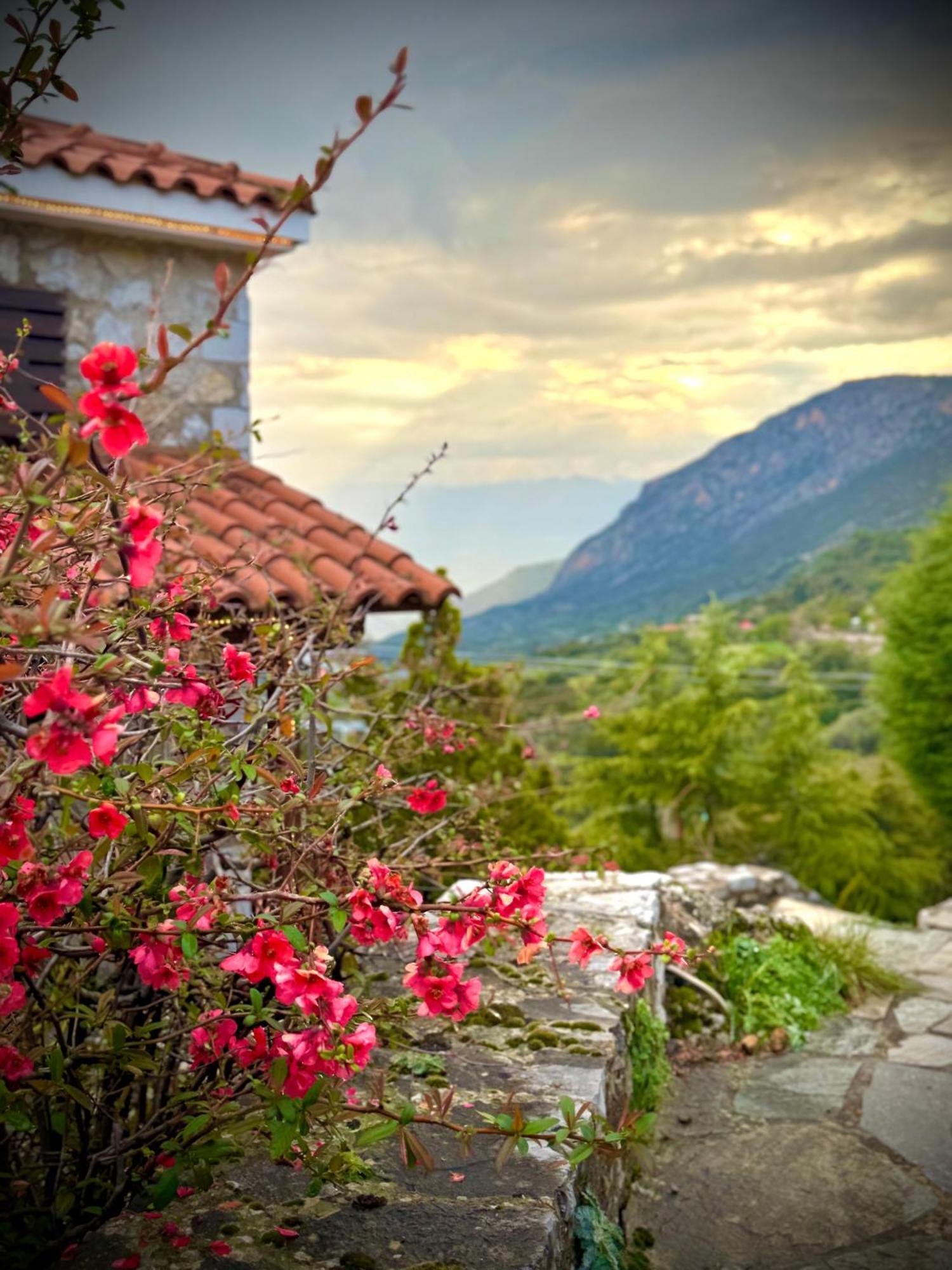 Rock Dandy Deluxe Chalet In Arachova - Delphi, Sauna, Prv Parking, Amazing View Exterior photo
